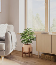 Load image into Gallery viewer, Gentle Pink stand:walnut