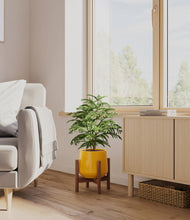 Load image into Gallery viewer, Mustard stand:walnut