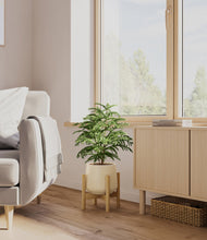 Load image into Gallery viewer, Almond Green stand:bamboo