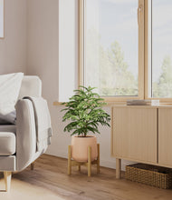 Load image into Gallery viewer, Gentle Pink stand:bamboo