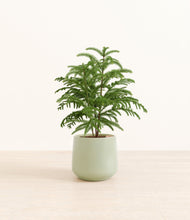 Load image into Gallery viewer, Turquoise*****Profile