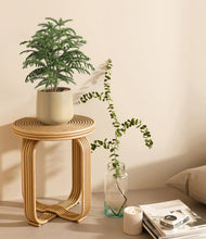 Load image into Gallery viewer, Almond Green