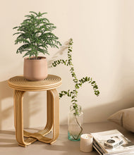 Load image into Gallery viewer, Gentle Pink