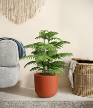 Load image into Gallery viewer, Earth Red