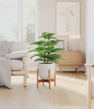Load image into Gallery viewer, Natural Bamboo stand:bamboo