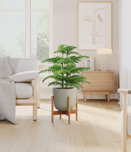 Load image into Gallery viewer, Sage Green stand:bamboo