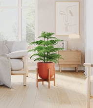 Load image into Gallery viewer, Earth Red stand:bamboo