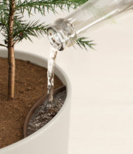 Load image into Gallery viewer, Natural Bamboo stand:all