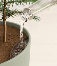 Load image into Gallery viewer, Sage Green stand:all