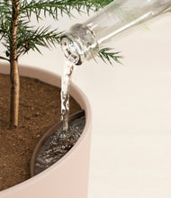 Load image into Gallery viewer, Sandy Pink stand:all