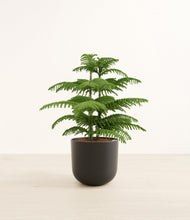 Load image into Gallery viewer, Stone Black*****Profile