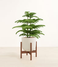 Load image into Gallery viewer, Natural Bamboo stand:walnut