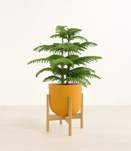 Load image into Gallery viewer, Sunset Orange stand:bamboo