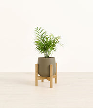 Load image into Gallery viewer, Olive stand:bamboo