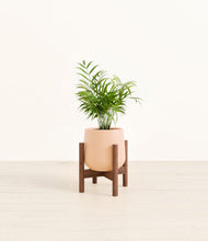 Load image into Gallery viewer, Gentle Pink stand:walnut