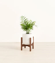 Load image into Gallery viewer, White stand:walnut