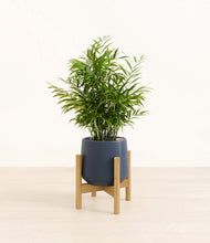 Load image into Gallery viewer, Deep Navy stand:bamboo