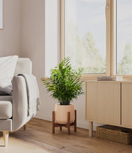 Load image into Gallery viewer, Gentle Pink stand:walnut