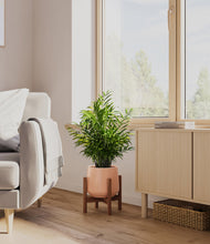 Load image into Gallery viewer, Calm Rose stand:walnut