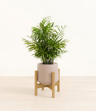 Load image into Gallery viewer, Eternal Gray stand:bamboo