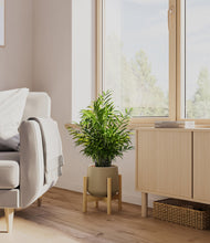 Load image into Gallery viewer, Olive stand:bamboo