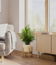 Load image into Gallery viewer, Almond Green stand:bamboo