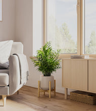 Load image into Gallery viewer, Eternal Gray stand:bamboo