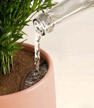 Load image into Gallery viewer, Calm Rose stand:all