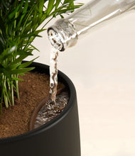 Load image into Gallery viewer, Black stand:all