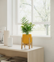 Load image into Gallery viewer, Mustard stand:bamboo