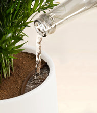 Load image into Gallery viewer, White stand:all