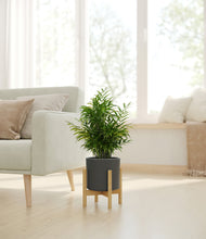 Load image into Gallery viewer, Dark Olive stand:bamboo