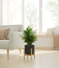 Load image into Gallery viewer, Black stand:bamboo