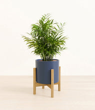 Load image into Gallery viewer, Deep Navy stand:bamboo