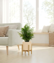 Load image into Gallery viewer, Cream stand:bamboo