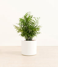 Load image into Gallery viewer, White*****Profile