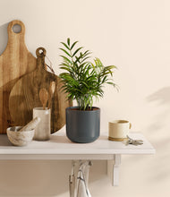 Load image into Gallery viewer, Iron Gray