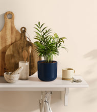 Load image into Gallery viewer, Twilight Blue