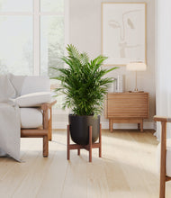 Load image into Gallery viewer, Stone Black stand:walnut