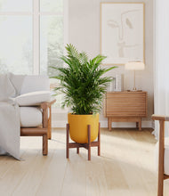 Load image into Gallery viewer, Sunset Orange stand:walnut