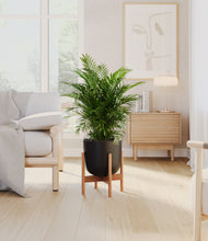 Load image into Gallery viewer, Stone Black stand:bamboo