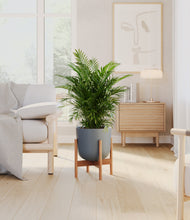 Load image into Gallery viewer, Iron Gray stand:bamboo