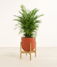 Load image into Gallery viewer, Earth Red stand:bamboo