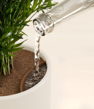 Load image into Gallery viewer, Cotton White stand:all