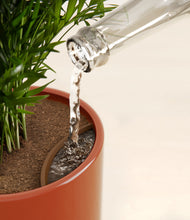 Load image into Gallery viewer, Glossy Red stand:all