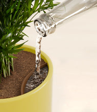 Load image into Gallery viewer, Key Lime Yellow stand:all