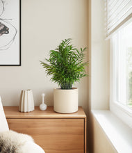 Load image into Gallery viewer, Cream