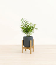 Load image into Gallery viewer, Iron Gray stand:bamboo
