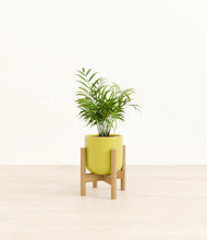 Load image into Gallery viewer, Key Lime Yellow stand:bamboo