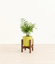 Load image into Gallery viewer, Key Lime Yellow stand:walnut